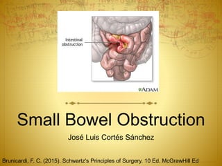 Small Bowel Obstruction
José Luis Cortés Sánchez
Brunicardi, F. C. (2015). Schwartz's Principles of Surgery. 10 Ed. McGrawHill Ed
 