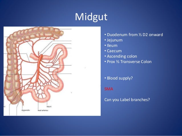 Small bowel obstruction cases - Julie Cornish