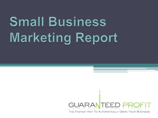 Small Business Marketing Report 