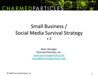 © 2009 Charmed Particles, Inc.  1 Small Business / Social Media Survival Strategyv 2 Marc Danziger Charmed Particles, Inc. www.charmedparticles.com marcd@charmedparticles.com 