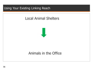 Using Your Existing Linking Reach Local Animal Shelters Animals in the Office 