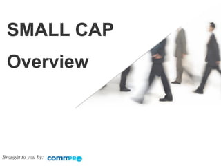 SMALL CAP
 Overview



Brought to you by:
 