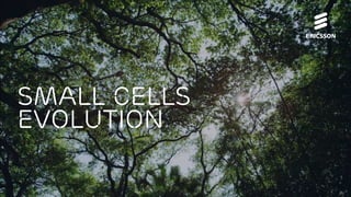 Small cells
evolution
 