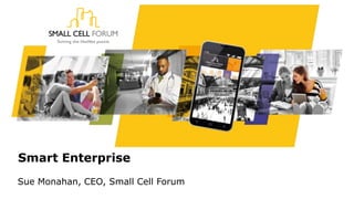 Smart Enterprise
Sue Monahan, CEO, Small Cell Forum
 