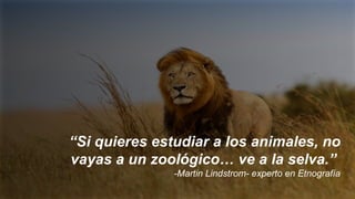 “Si quieres estudiar a los animales, no
vayas a un zoológico… ve a la selva.”
-Martin Lindstrom- experto en Etnografía
 