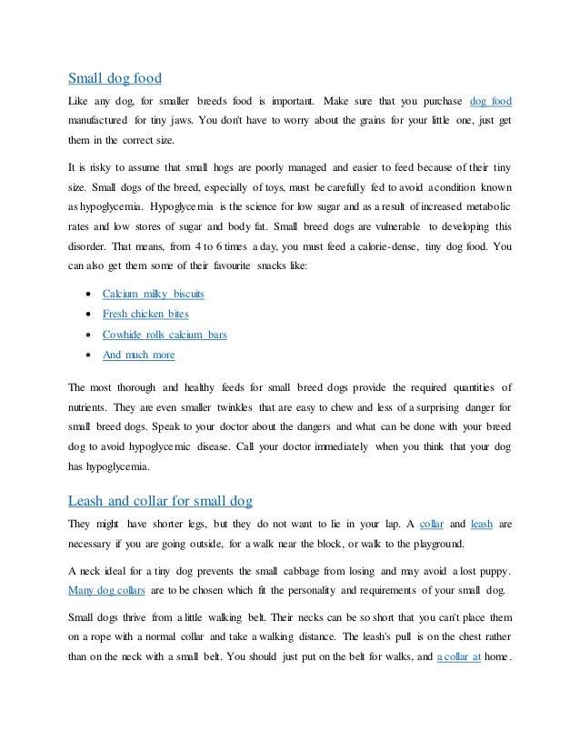 small dog essentials