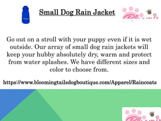 Small Dog Rain Jacket.pptx