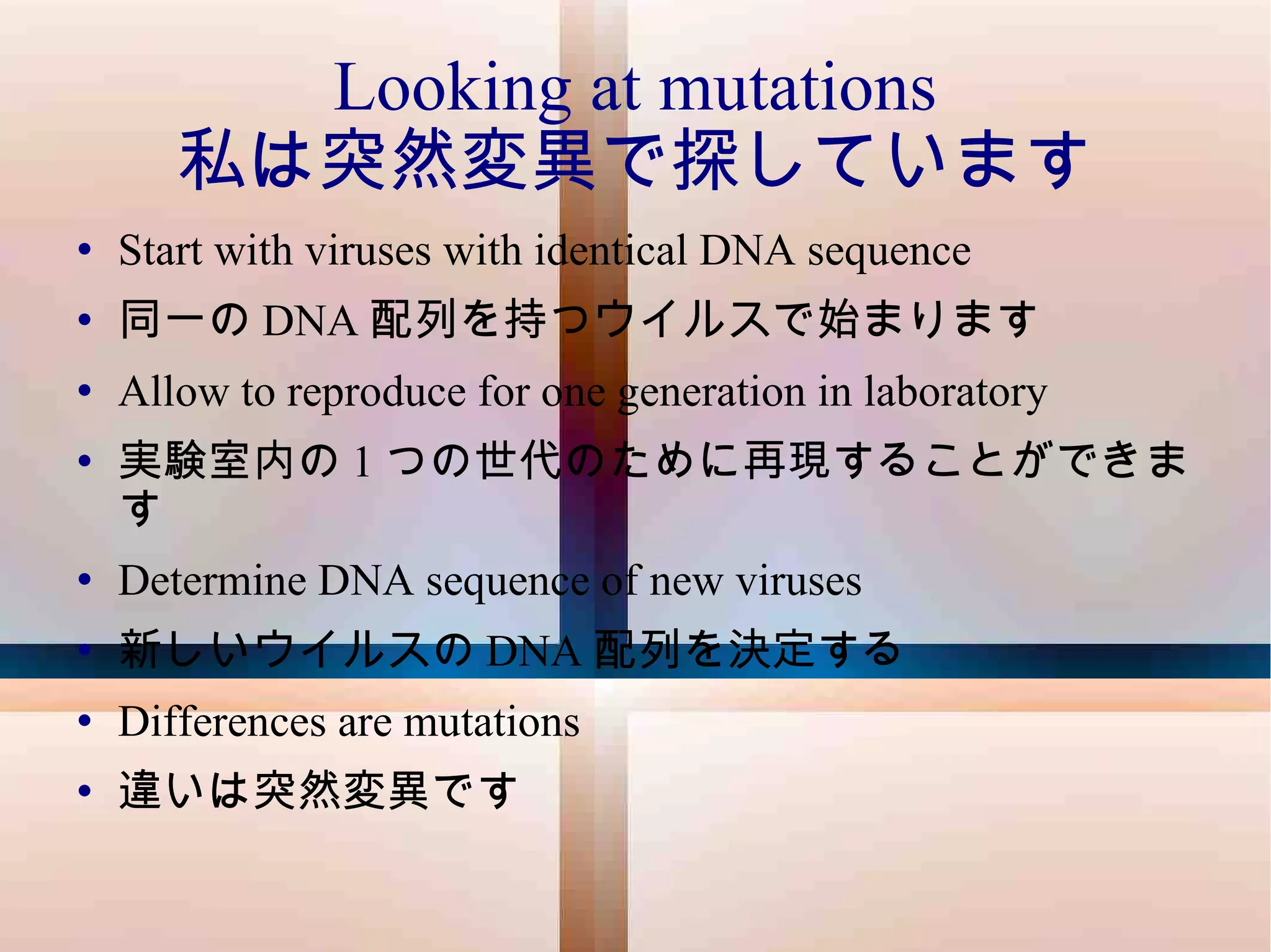 Looking at mutations 私は突然変異で探しています Start with viruses with identical DNA sequence 同一の DNA 配列を持つウイルスで始まります Allow to reproduce for one generation in laboratory 実験室内の 1 つの世代のために再現することができます Determine DNA sequence of new viruses 新しいウイルスの DNA 配列を決定する Differences are mutations 違いは突然変異です 