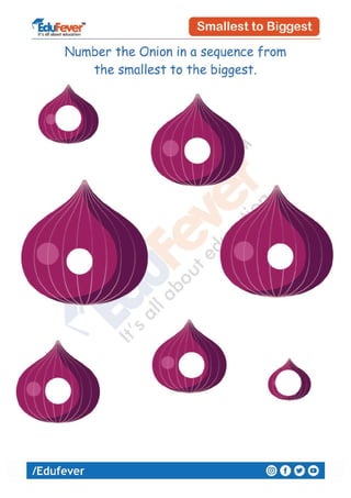 Smallest and biggest - UKG Worksheet | PDF