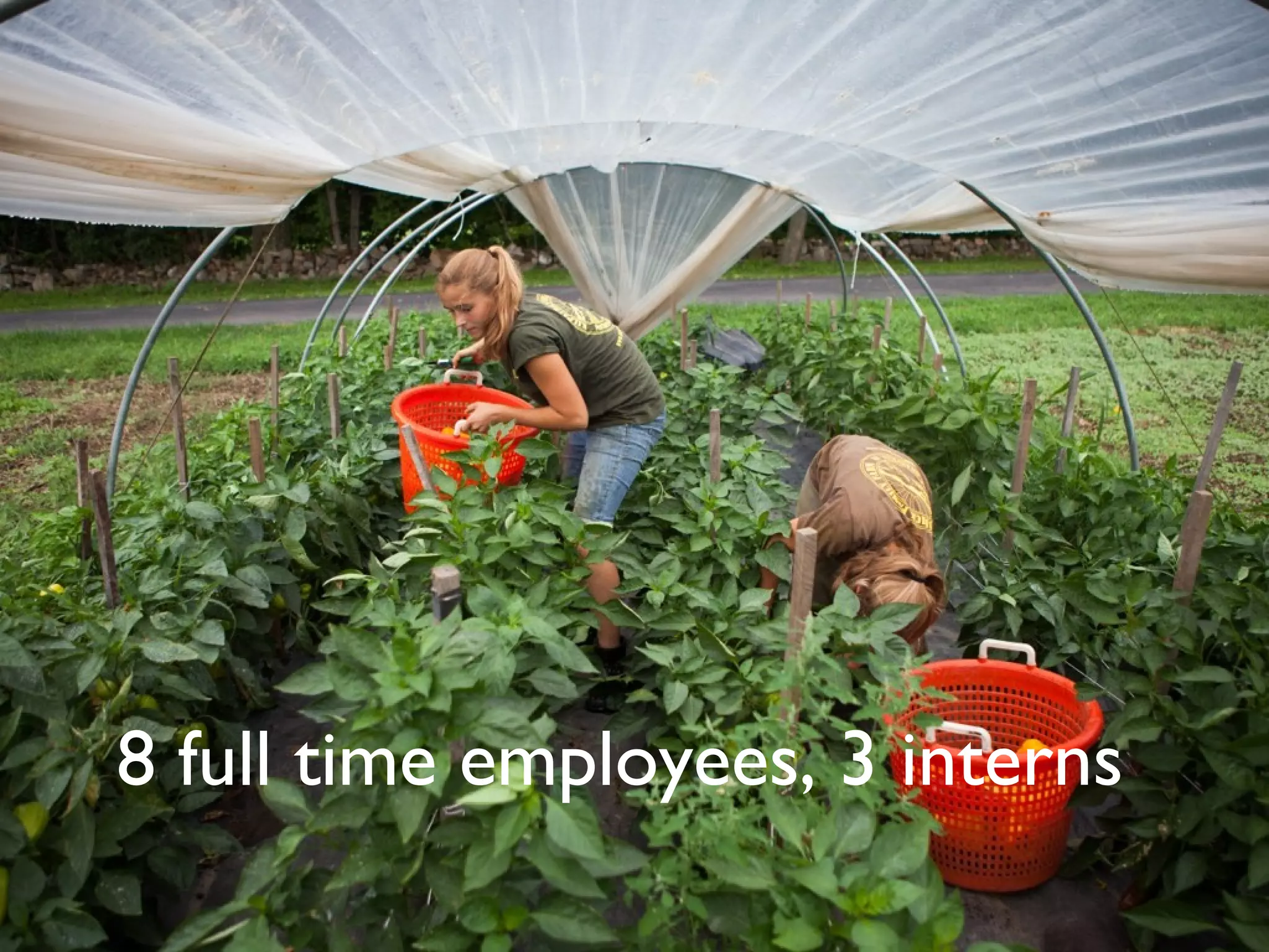 8 full time employees, 3 interns

 