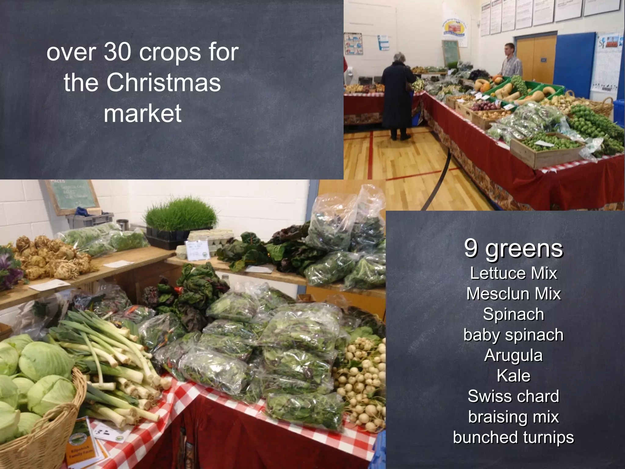 over 30 crops for
the Christmas
market

9 greens

Lettuce Mix
Mesclun Mix
Spinach
baby spinach
Arugula
Kale
Swiss chard
braising mix
bunched turnips

 