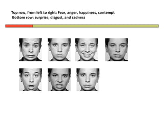 Top row, from left to right: Fear, anger, happiness, contempt
Bottom row: surprise, disgust, and sadness
 