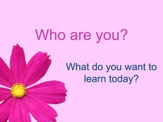 Who are you? What do you want to learn today?