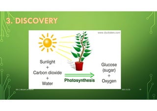 Small group interactive learning | PDF