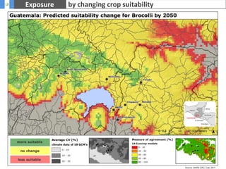 Develop potential response pathways for supply chain actors (using interviews with industry partners) & estimate the carbon food print for identifying response pathways (develop a online carbon footprint platform) 
