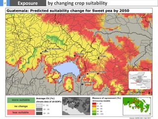 Bogotá metropolitan area small-scale farmers related food security