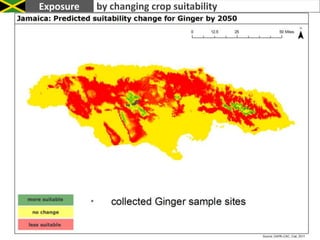 Take decisions / Work distributionNaturalFinancialCredit access