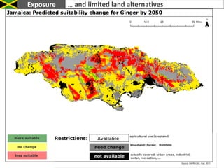Variability of production