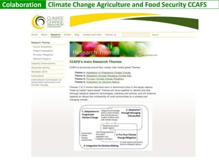 Preliminary resultsGuatemala’s Frozen Vegetable Value-chainActually cultivated vegetables areas