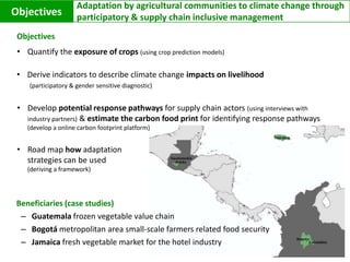 Preliminary resultsGuatemalaBogotáJamaicaCarbon Footprint online platform