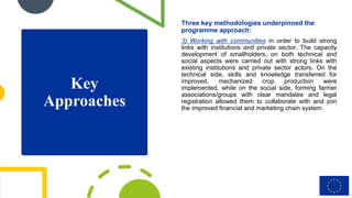 Key
Approaches
Three key methodologies underpinned the
programme approach:
3) Working with communities in order to build s...