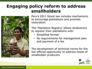Forest policy reform to enhance smallholder participation in landscape restoration: The Peruvian case