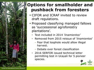 Forest policy reform to enhance smallholder participation in landscape restoration: The Peruvian case