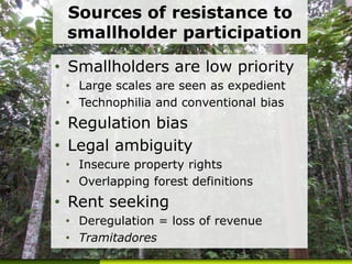 Forest policy reform to enhance smallholder participation in landscape restoration: The Peruvian case