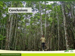 Forest policy reform to enhance smallholder participation in landscape restoration: The Peruvian case