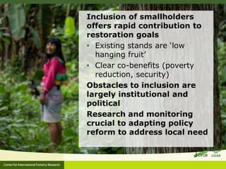 Forest policy reform to enhance smallholder participation in landscape restoration: The Peruvian case