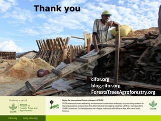 Forest policy reform to enhance smallholder participation in landscape restoration: The Peruvian case