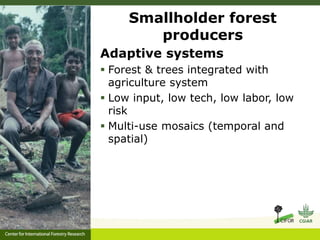 Forest policy reform to enhance smallholder participation in landscape restoration: The Peruvian case