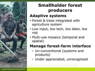 Forest policy reform to enhance smallholder participation in landscape restoration: The Peruvian case