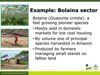 Forest policy reform to enhance smallholder participation in landscape restoration: The Peruvian case
