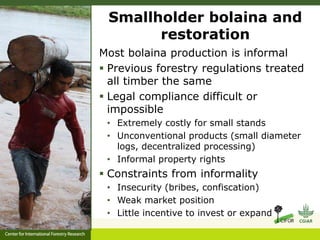 Forest policy reform to enhance smallholder participation in landscape restoration: The Peruvian case