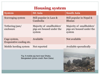 Sharing lessons of smallholders’ pig system in South Asia and Southeast Asia: A review