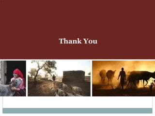 Sharing lessons of smallholders’ pig system in South Asia and Southeast Asia: A review