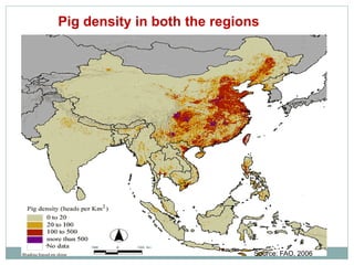 Sharing lessons of smallholders’ pig system in South Asia and Southeast Asia: A review