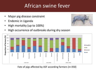 Smallholder pig value chain approach for the control of African swine fever and other pig diseases: The case of Uganda 