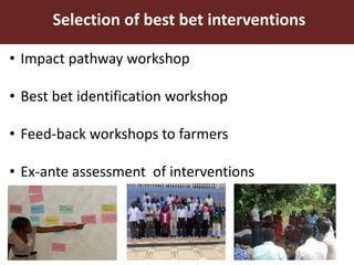 Smallholder pig value chain approach for the control of African swine fever and other pig diseases: The case of Uganda 