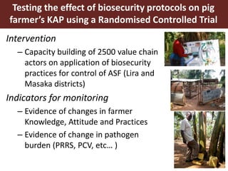 Smallholder pig value chain approach for the control of African swine fever and other pig diseases: The case of Uganda 