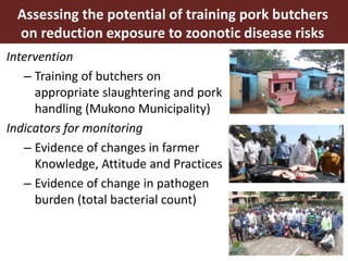 Smallholder pig value chain approach for the control of African swine fever and other pig diseases: The case of Uganda 