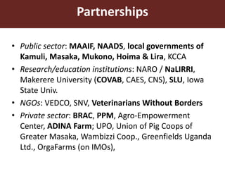 Smallholder pig value chain approach for the control of African swine fever and other pig diseases: The case of Uganda 