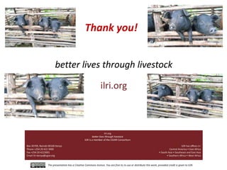 Smallholder pig value chain approach for the control of African swine fever and other pig diseases: The case of Uganda 