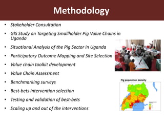 Smallholder pig value chain approach for the control of African swine fever and other pig diseases: The case of Uganda 