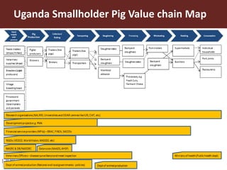 Smallholder pig value chain approach for the control of African swine fever and other pig diseases: The case of Uganda 