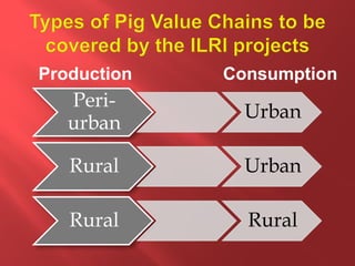 Smallholder pig value chain development in Uganda 