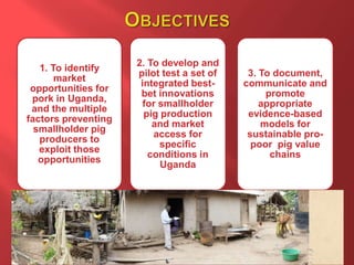 Smallholder pig value chain R4D projects in Uganda