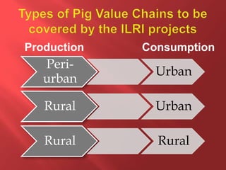 Smallholder pig value chain R4D projects in Uganda