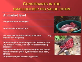 Smallholder pig value chain R4D projects in Uganda